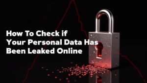 How to Check if Your Personal Data Has Been Leaked Online